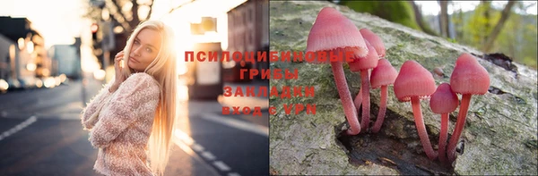 ешки Белокуриха