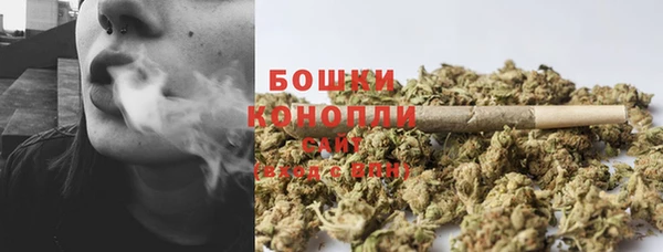 ешки Белокуриха