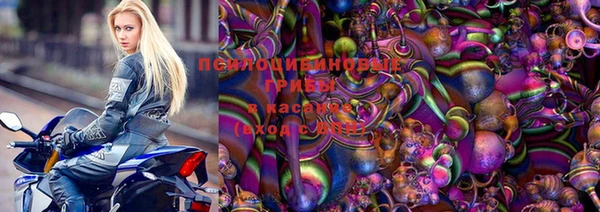 ешки Белокуриха