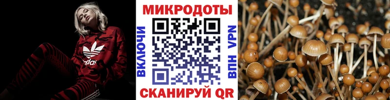Псилоцибиновые грибы MAGIC MUSHROOMS  Ермолино 